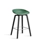 AA001-D138-AA51_AAS_32_H65_teal_green_2.0_shell_black_wb_laquered_oak_base_stainless_steel_footrest.jpg