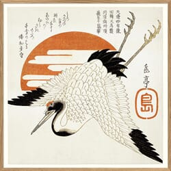 Bilde Grus Japonensis 100x100