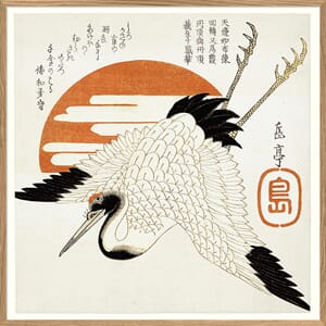 Bilde Grus Japonensis 100x100