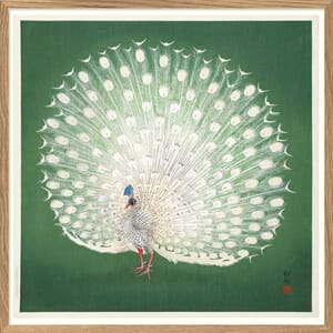 Bilde Peacock on Green 100x100