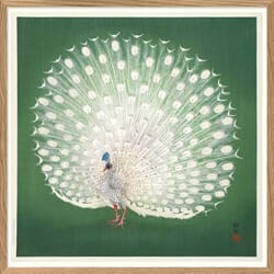Bilde Peacock on Green 100x100