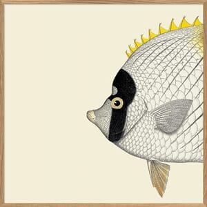 Bilde Half Fish White Yellow Left