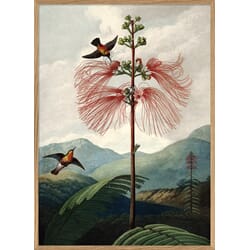 Bilde The Tree of Flowers
