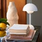 ATD_Retail_2021_Flowerpot VP9.jpg