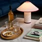 ATD_Retail_2024_Inland AV41_Sett LN13_Colette ATD6_Collect Wine glass SC79_Collect Tray SC64.jpg