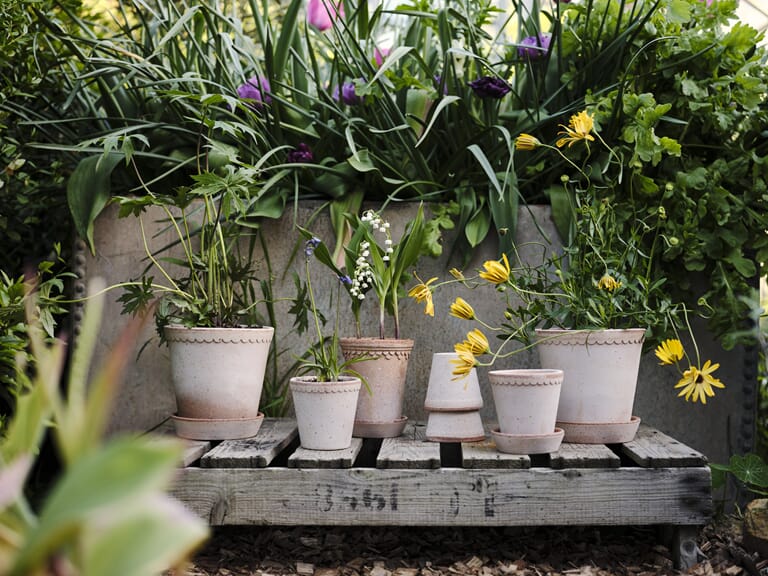 BERGS-POTTER_-LR-JHDH-027-_DSF1521_HELENA_KENHAVNER_SPRING-VIBES_RAW_RARO_JHDH_HZ.jpg