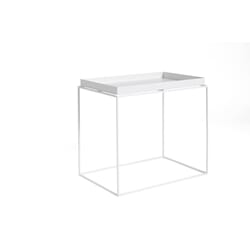 Tray Bord 60x40 White
