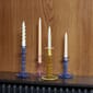 507956_Rel Flare Tall family_01.jpg