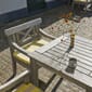 S1042010_Rel S1042010_S1040520_1960220_Drachmann_Table_86,_Drachmann_Chair_and_Cushion,_Cushion,_Lemon_Sand_stripes_M.jpg