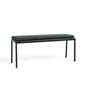 9451291109000_Rel 9439711009000_Balcony_Bench_L119,5_anthracite_w._cushion_palm_green_textile.jpg
