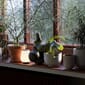 25050069_Rel ATD_Retail_2021_Collect _&nbsp;Planter SC70-SC72_Lucca SC51_Collect _ Vase SC37.jpg