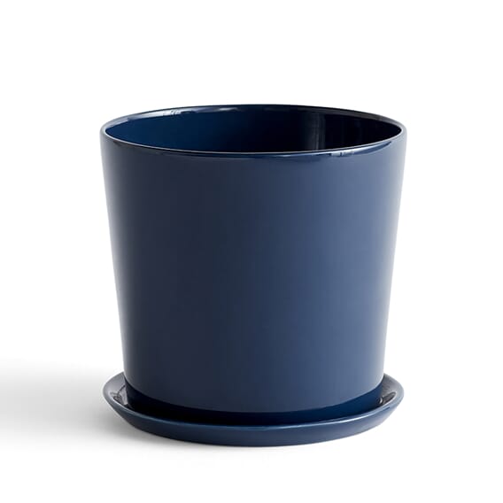 541428 541428_Botanical_Family_Set_XL_dark_blue.jpg