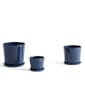 541428_Rel Botanical_Family_dark_blue.jpg
