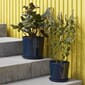 541428_Rel Botanical_Family_Set_XL_dark_blue_Botanical_Family_Set_L_dark_blue.jpg