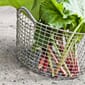 31020_Rel Classic+35+-+Rhubarb.jpg