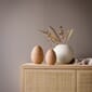 HI-056-02-CA_Rel HI-056-01-CA Easter Egg 14cm Cafe Au Lait Shell INT02.jpg
