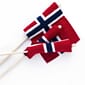 49hur062-3_Rel Hurraflag_NO_Gruppe(1).jpg