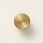 3305-1_Rel F&R_angle-brass-hook-oak-front.jpg