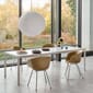 AAC27-1_Rel AAC 27 chrome base Silk nougat SIL0258_T12 Table white.jpg