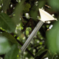 Piton Portable Lamp - Aluminum (22587).png
