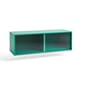 AB709!_Rel AB710-A602-AC69_Colour_Cabinet_M_w._glass_doors_floor_dark_mint_Wall.jpg