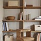 2170-1_Rel Form_and_Refine_Living_A-line-stepstool_Oak.jpg