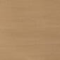 AB732-B343_Golden beech.jpg