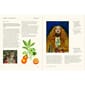Boken The Secret Language of Plants, Art, Nature & Symbolism (1).jpg