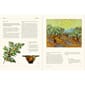 Boken The Secret Language of Plants, Art, Nature & Symbolism (2).jpg