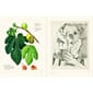 Boken The Secret Language of Plants, Art, Nature & Symbolism (3).jpg