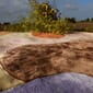 LAYERED_Magical_Garden_Rug_231.jpg