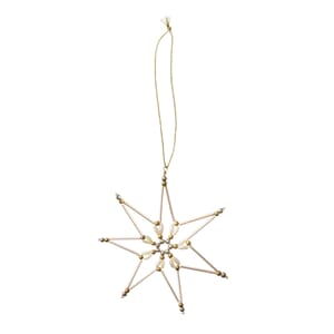 Star 10,5.jpg