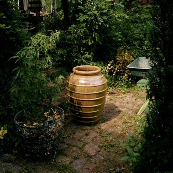 Vase Olive Tree (3).jpg