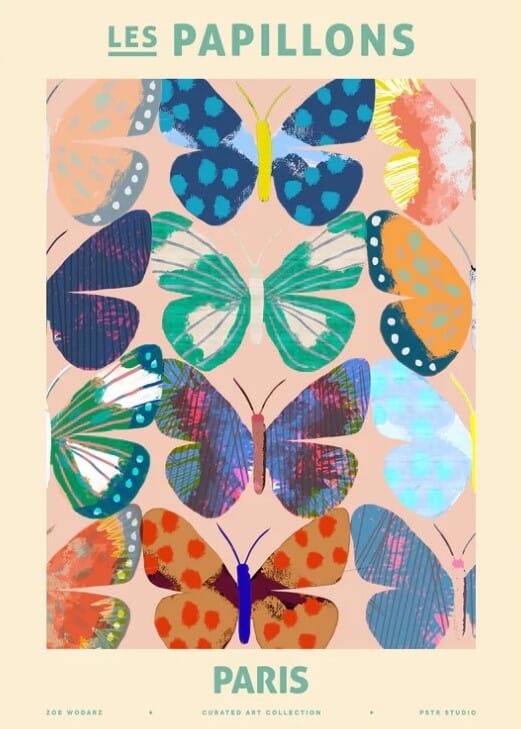 Bilde av Poster and Frame