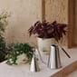 4833659_Rel MENU_LS_Hydrous_Watering_Can_Hydrous_Mister_Hydrous_Planter.jpg