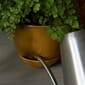 4833859_Rel MENU_Hydrous_Planter_Hydrous_Watering_Can_5.jpg