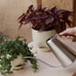 4834659_Rel MENU_LS_Hydrous_Watering_Can_Hydrous_Planter.jpg