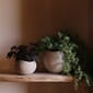 4835649_Rel MENU_LS_Plantas_Planter.jpg