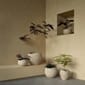 4835649_Rel MENU_Plantas_Planter_15.jpg