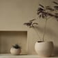 4835649_Rel MENU_Plantas_Planter_6.jpg