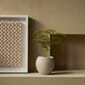 4836649_Rel MENU_Plantas_Planter_5.jpg