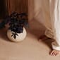 4837649_Rel MENU_LS_Plantas_Planter_3.jpg