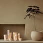 4838649_Rel MENU_Ignus_Flameless_Candle_Plantas_Planter_2.jpg
