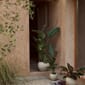 4838649_Rel MENU_LS_Plantas_Planters.jpg