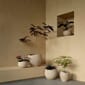 4838649_Rel MENU_Plantas_Planter_15.jpg