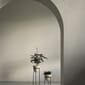 4846649_Rel MENU_Daiza_Planter_11.jpg