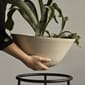 4847649_Rel MENU_Daiza_Planter_14.jpg