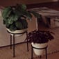 4848649_Rel MENU_LS_Daiza_Planters.jpg
