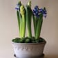 BB01_Rel BERGS-POTTER_RAW_KENHAVNER_LOW_NOGR_IMG_7297-4_jk.jpg