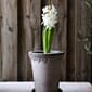 BB05_Rel BERGS-POTTER_IMG_6935_CHRISTMAS-2022_KENHAVNER_TALL_NOGR_JK.jpg
